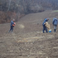 12. Radovi na sadnji trave na fazi III flotacijskog odlagališta 2012. god.