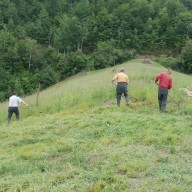 18. Košenje trave na III fazi flotacijskog odlagališta 2013. god.