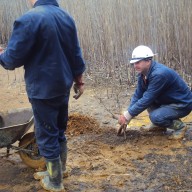 8. Radovi na sadnji drvenastog bilja na fazi II flotacijskog odlagališta 2011. god.