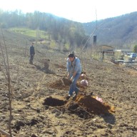 9. Radovi na sadnji drvenastog bilja na fazi III flotacijskog odlagališta 2011. god.