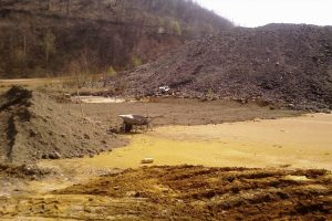 Priprema, gnojenje zemlјišta i sadnja odgovarajućih vrsta trave