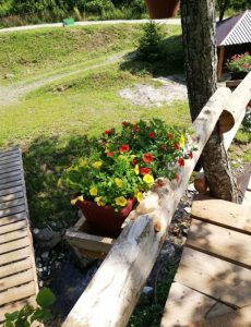 Rekultivacija područja ulaska Saške rijeke u hidro-tehnički kanal