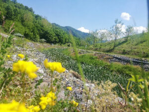 Rekultivacija